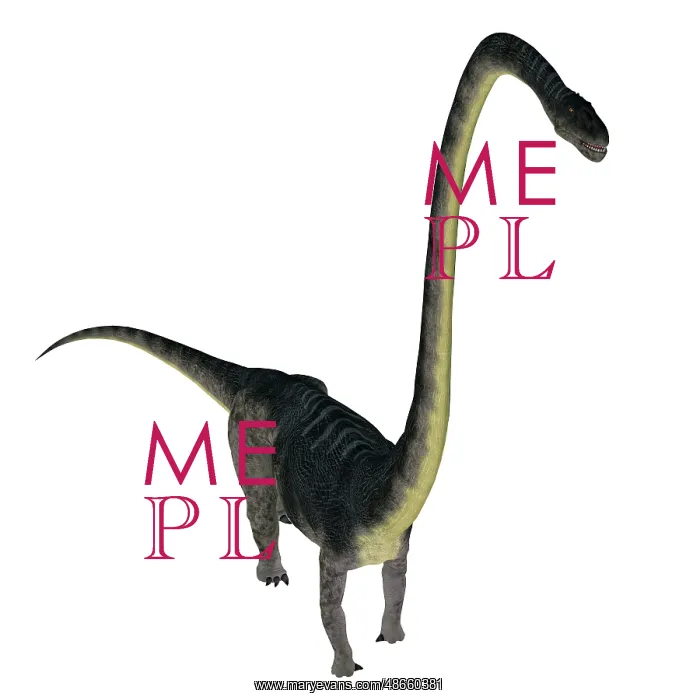 : Omeisaurus dinosaur, white background : Omeisaurus dinosaur, white background