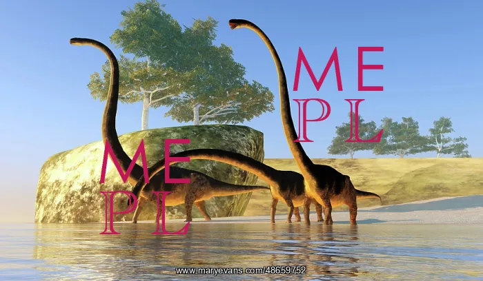 : Omeisaurus dinosaurs in shallow waters off the shoreline : Omeisaurus dinosaurs in shallow waters off the shoreline