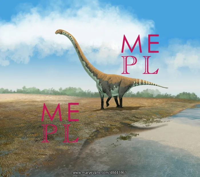 : Omeisaurus tianfuensis, an Euhelopus auropod from the ? : Omeisaurus tianfuensis, an Euhelopus auropod from the ?
