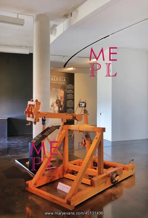 : Onager, Centre d'Interpretation, MuseoParc Alesia : Onager, Centre d'Interpretation, MuseoParc Alesia
