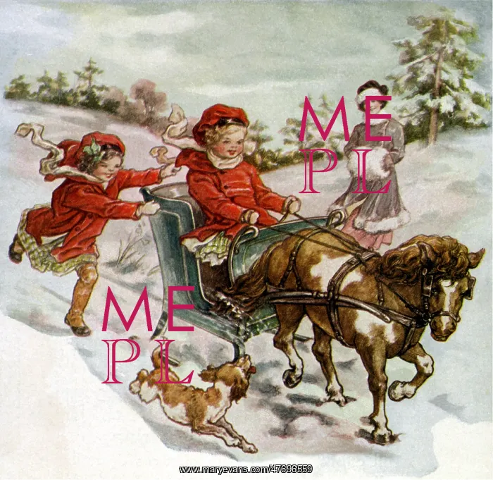  : One-Pony Sleigh
