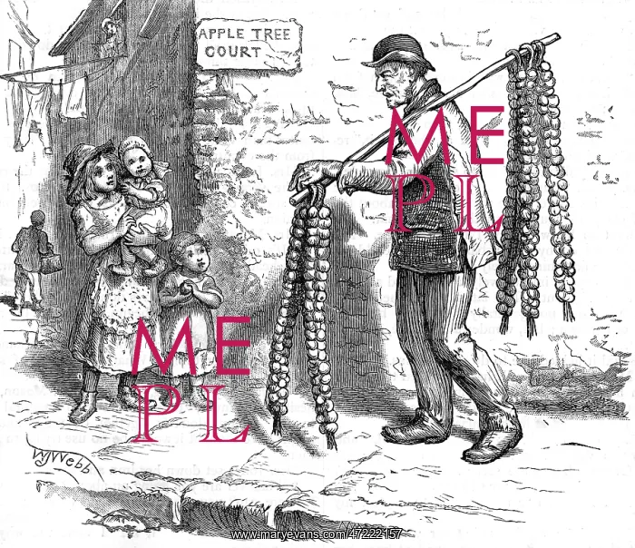  : ONIONS BY THE ROPE