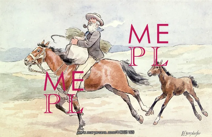 : Oom Piet and his Horse, circa 1885 : Oom Piet and his Horse, circa 1885