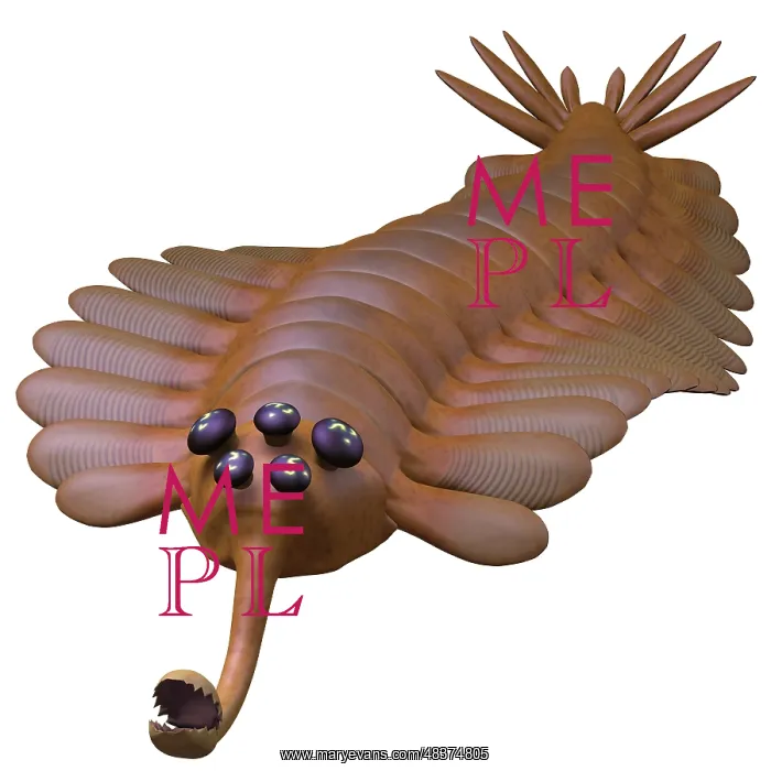 : Opabinia regalis from the Middle Cambrian seas : Opabinia regalis from the Middle Cambrian seas