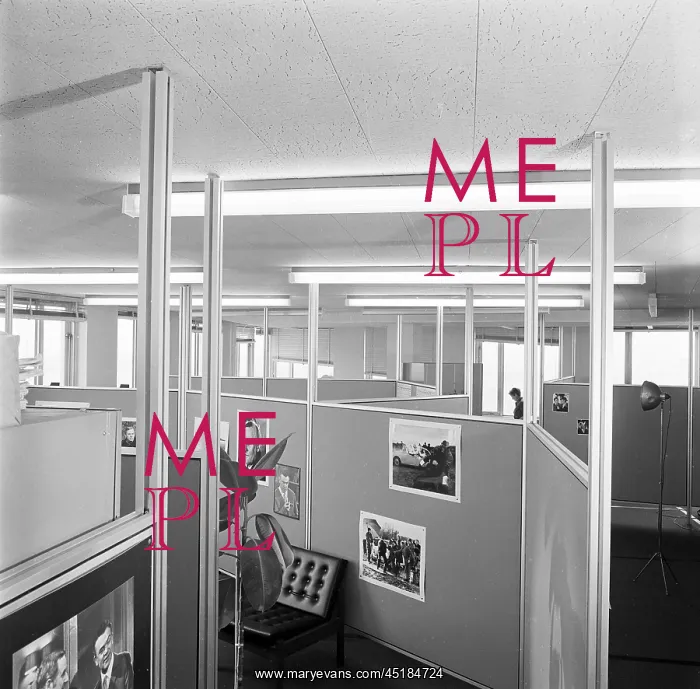 : Open Plan Office : Open Plan Office