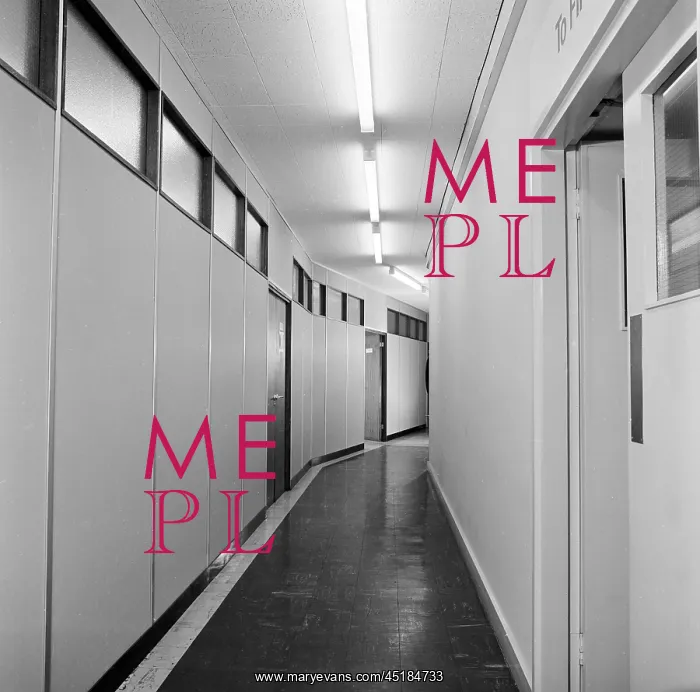 : Open Plan Office : Open Plan Office