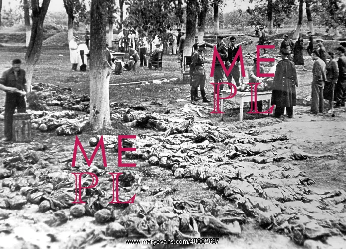 : Opened mass graves in Vinnytsia : Opened mass graves in Vinnytsia