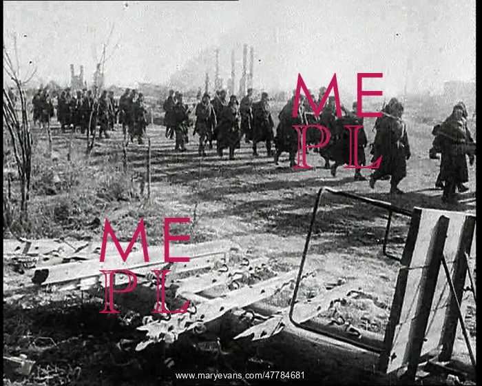 : Operation Barbarossa : Operation Barbarossa
