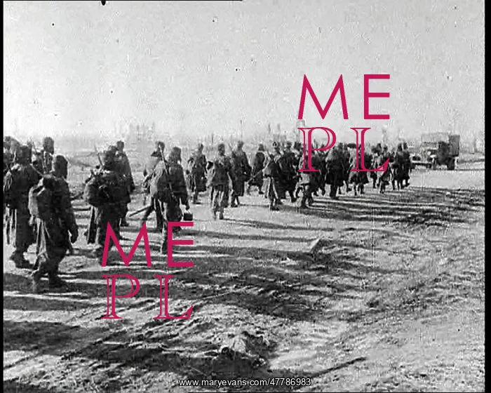 : Operation Barbarossa : Operation Barbarossa