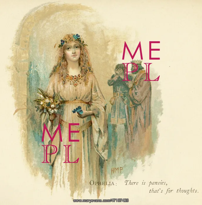  : OPHELIA CUCKOO