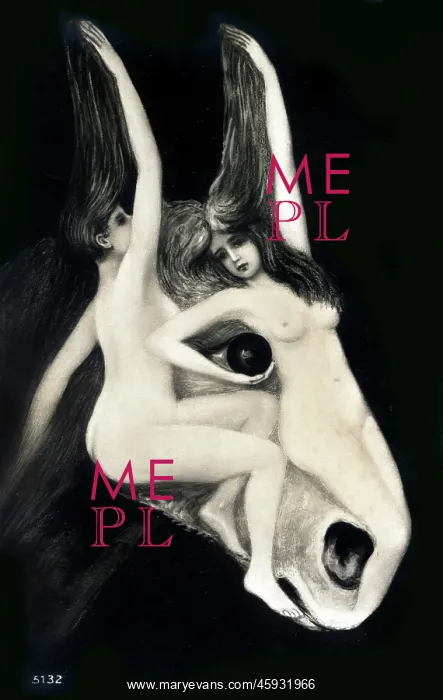 : Optical Illusion - two scantily-clad ladies forming a donkey : Optical Illusion - two scantily-clad ladies forming a donkey