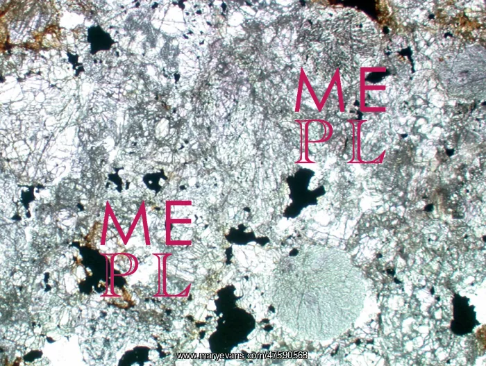 : Optical microscope image of the Barwell (Type 6) chondrite : Optical microscope image of the Barwell (Type 6) chondrite