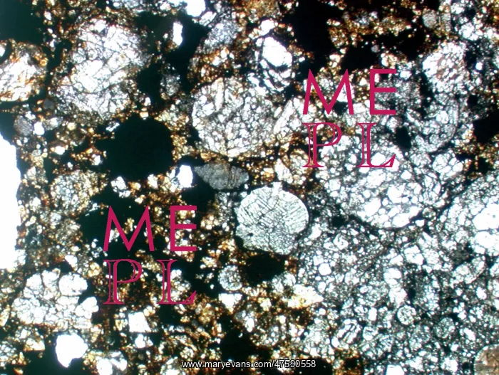 : Optical microscope image of the Parnallee (Type 3) chondrite : Optical microscope image of the Parnallee (Type 3) chondrite
