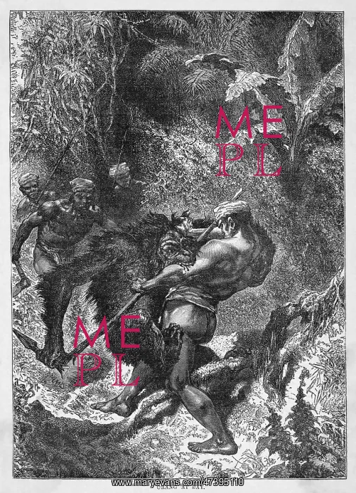  : ORANG-UTAN AND NATIVES