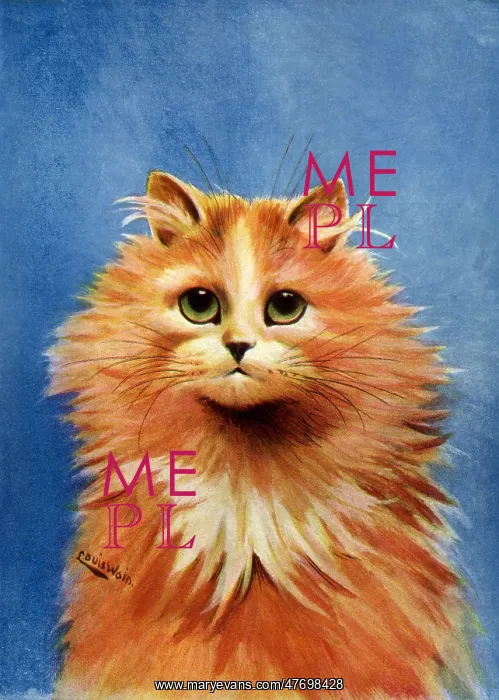  : Orange Cat