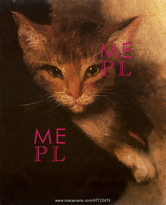  : Orange Cat