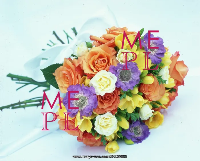  : Orange and Cream Roses with Freesias and Scabious