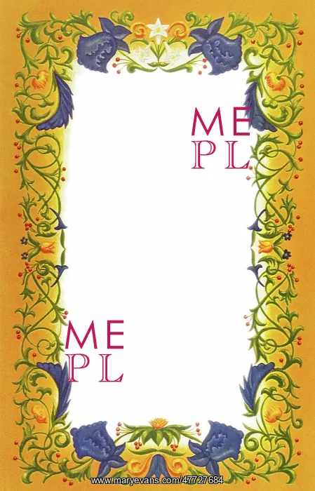  : Orange Floral Border