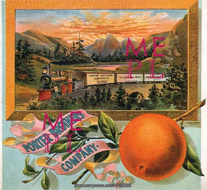  : Orange Fruit Label