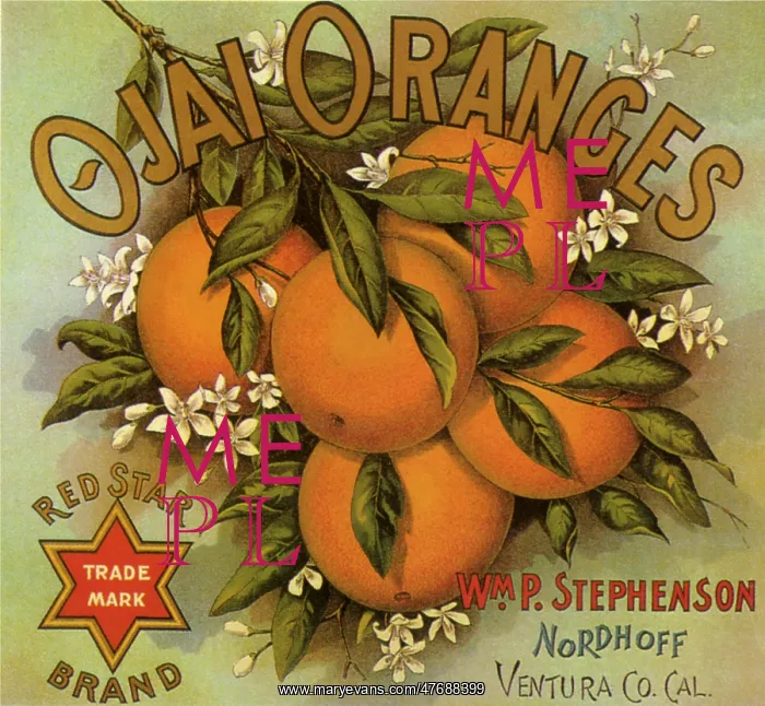  : Orange Fruit Label