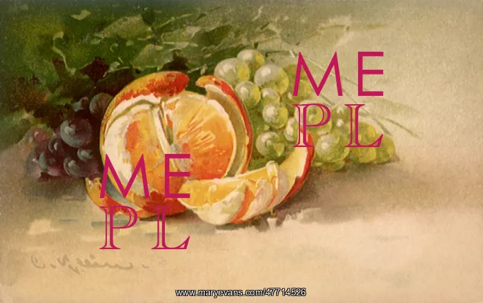 : Orange and Grapes
