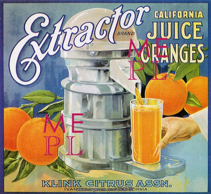  : Orange juice
