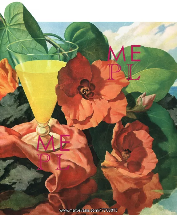 : Orange Juice : Orange Juice
