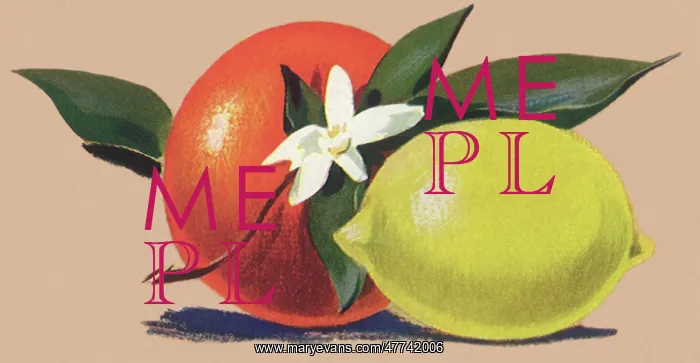  : Orange and Lemon