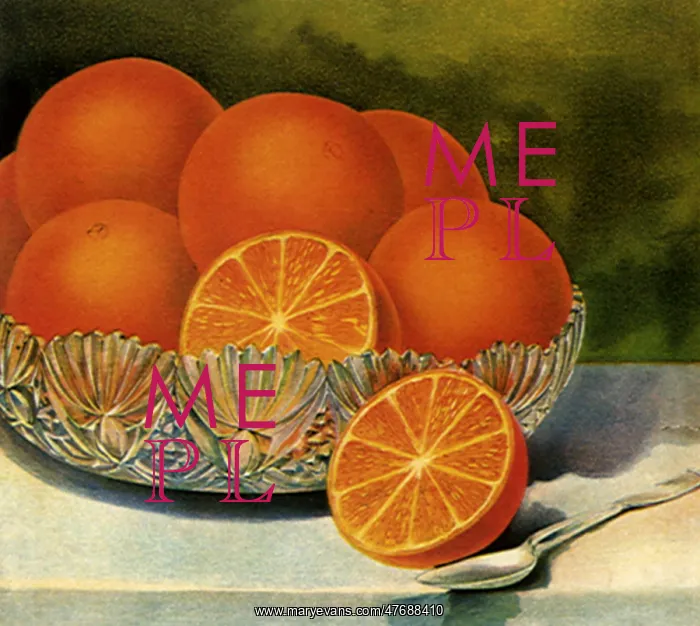 : Orange Still LIfe