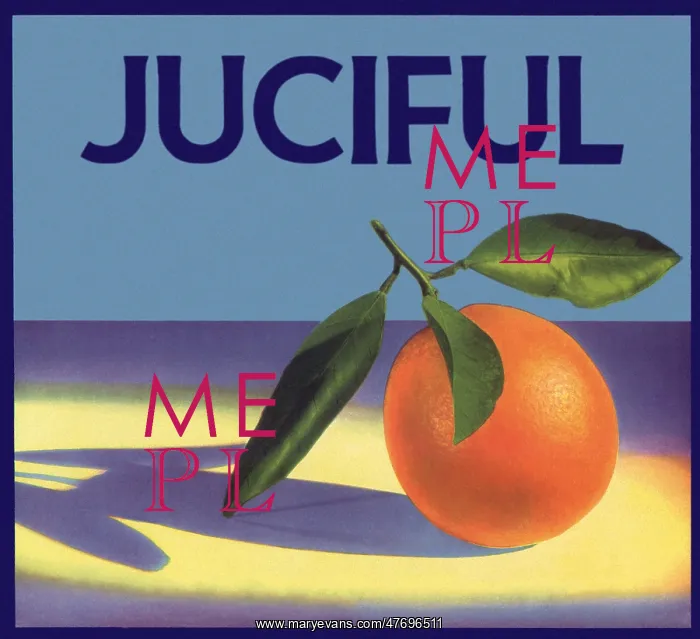  : Orange in Spotlight