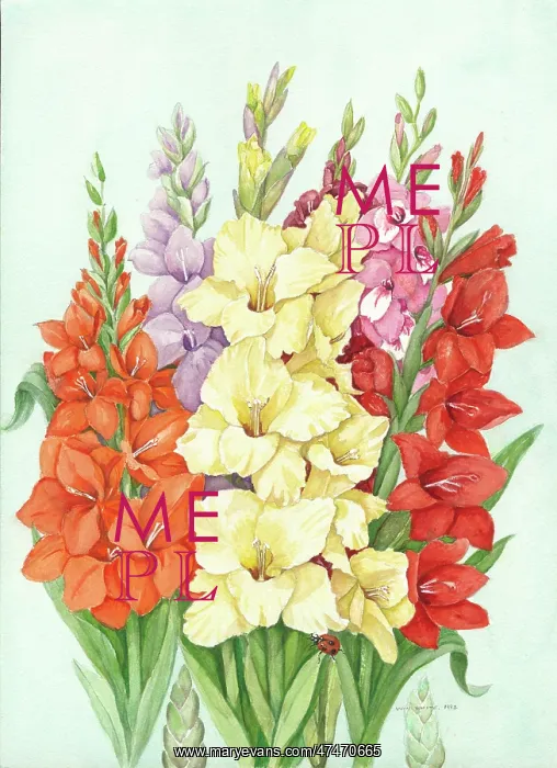  : Orange, Yellow and Red Gladioli