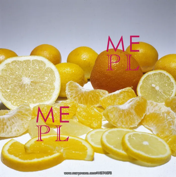  : ORANGES. Segments and slices of fresh oranges, temptingly displayed
