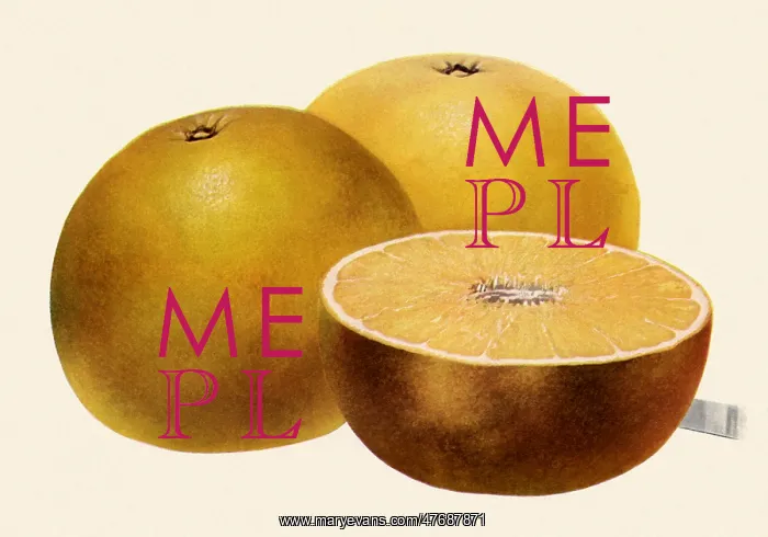  : Oranges