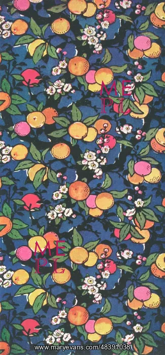 : Oranges growing on branch : Oranges growing on branch