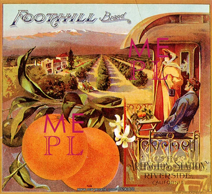  : Oranges and Orchards