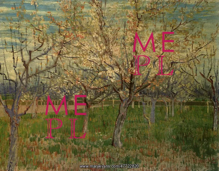 : Orchard with Blossoming Apricot Trees, by Van Gogh : Orchard with Blossoming Apricot Trees, by Van Gogh
