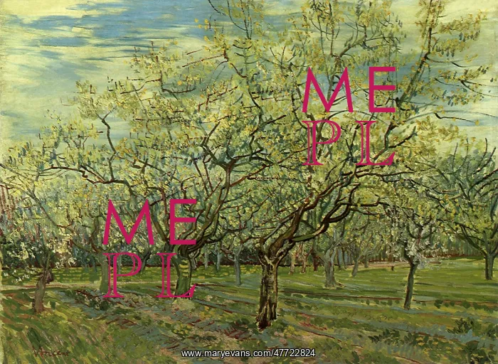 : Orchard with Blossoming Plum Trees, by Van Gogh : Orchard with Blossoming Plum Trees, by Van Gogh