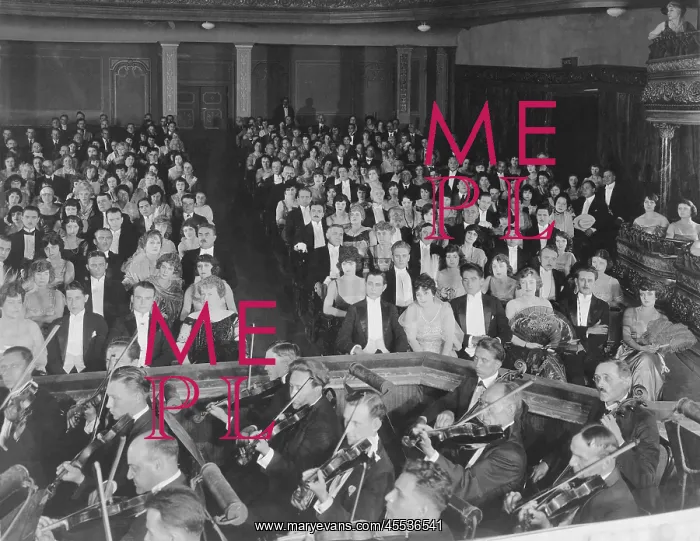 : ORCHESTRA SEATS : ORCHESTRA SEATS