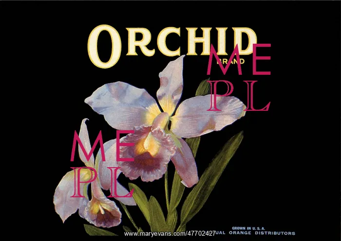  : Orchid Fruit Label