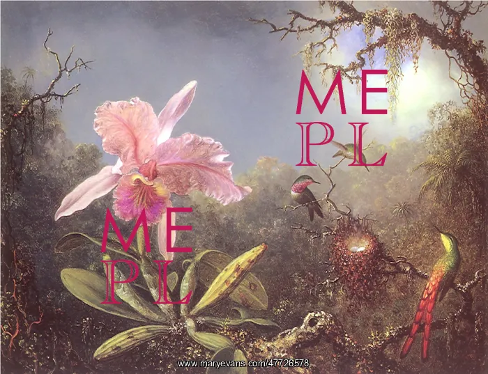  : Orchid and Hummingbirds