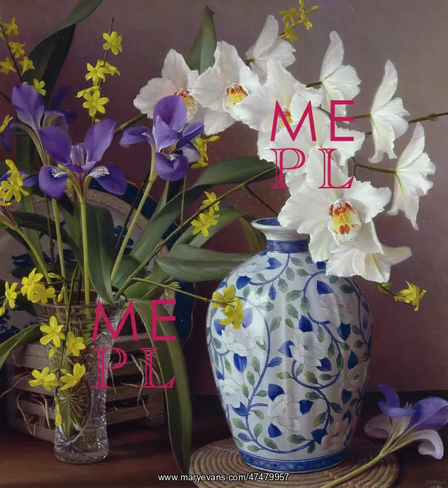: Orchid, Iris Stylosa and Winter Jasmine : Orchid, Iris Stylosa and Winter Jasmine