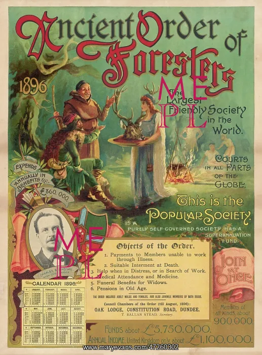 : ORDER OF FORESTERS : ORDER OF FORESTERS