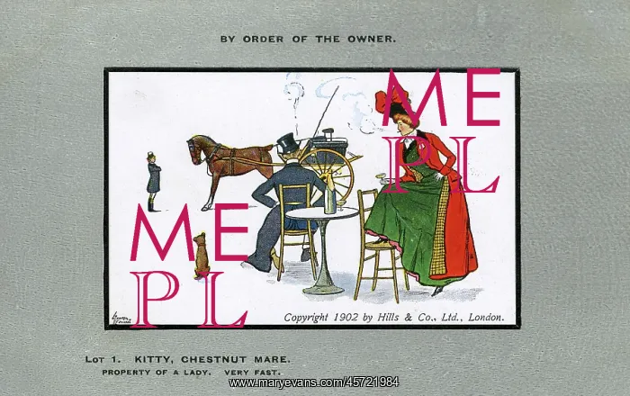 : By Order of the Owner - Lot 1. Kitty, Chestnut Mare : By Order of the Owner - Lot 1. Kitty, Chestnut Mare