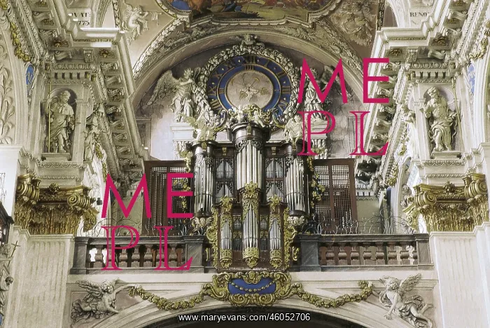 : Organ in the Benedictine monastery Brounov : Organ in the Benedictine monastery Brounov