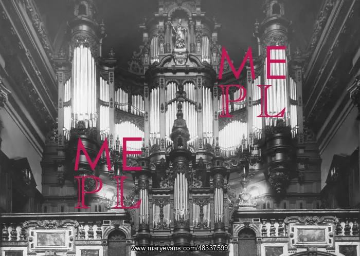 : Organ in the Berlin Cathedral, 1932 : Organ in the Berlin Cathedral, 1932