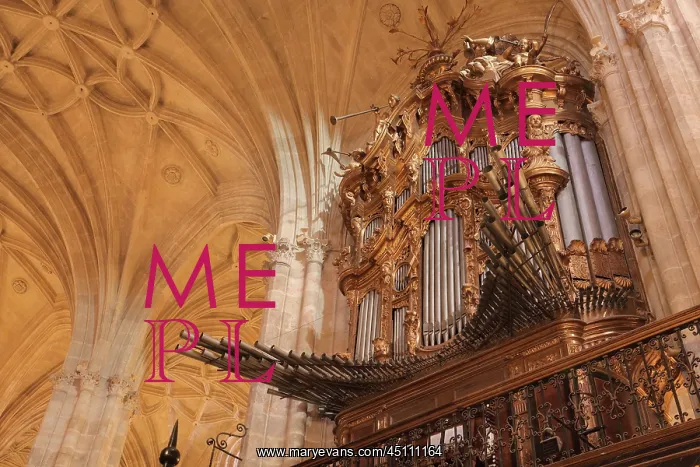 : Organ, Cathedral of the Incarnation of Almeria : Organ, Cathedral of the Incarnation of Almeria