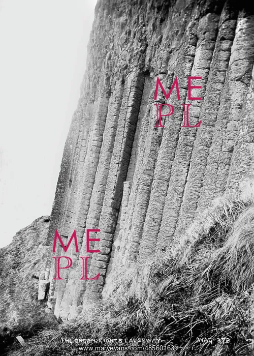 : The Organ, Giants Causeway : The Organ, Giants Causeway