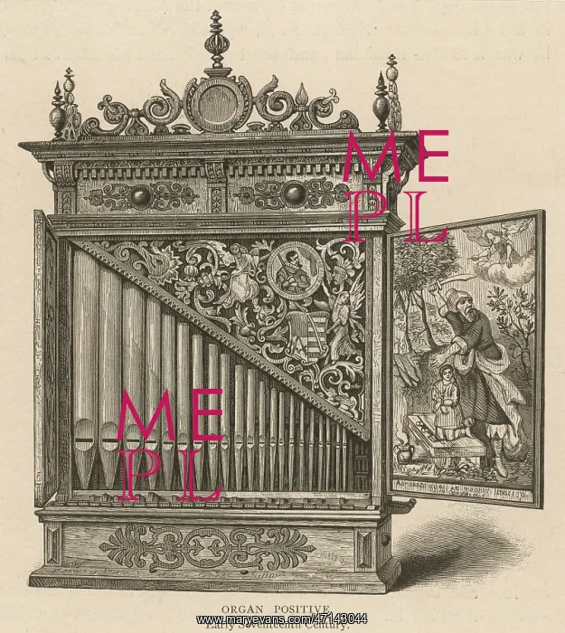  : Organ positive