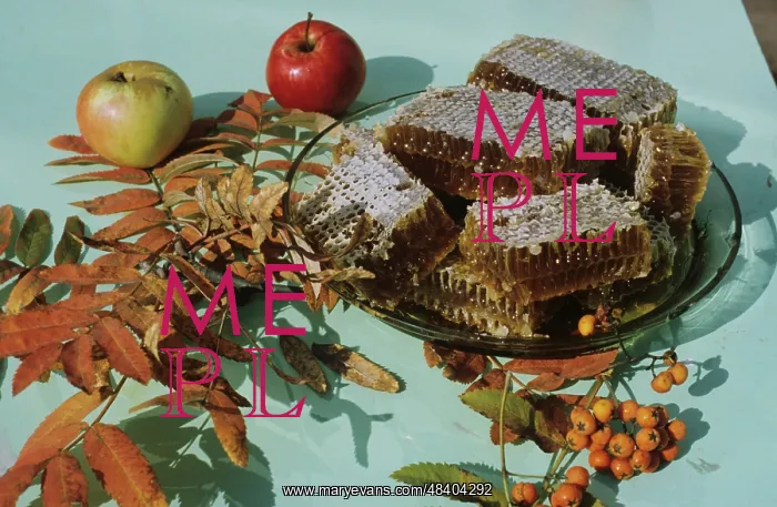 : Organic honey in honeycombs, 1983 : Organic honey in honeycombs, 1983