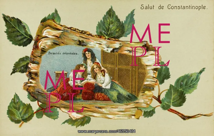 : Oriental Beauties of the Harem : Oriental Beauties of the Harem